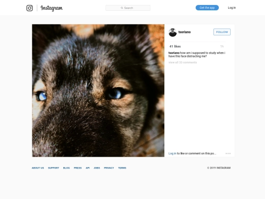 ig/017 screenshot