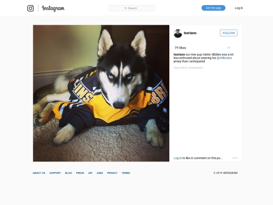 ig/018 screenshot