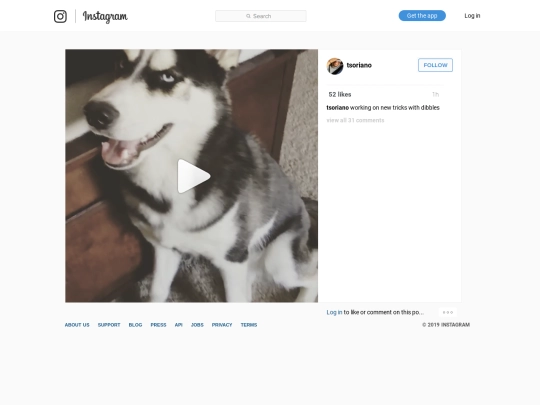 ig/020 screenshot