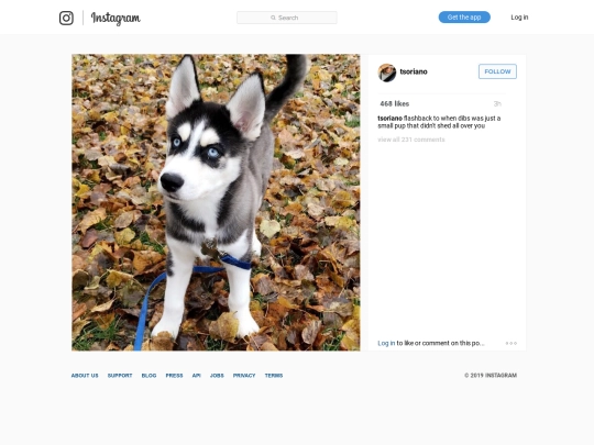ig/024 screenshot