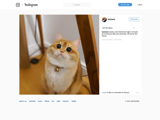 ig/032 screenshot