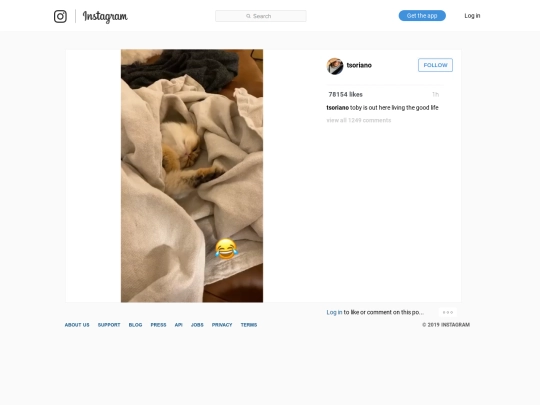 ig/033 screenshot