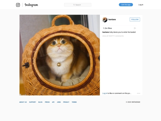 ig/034 screenshot