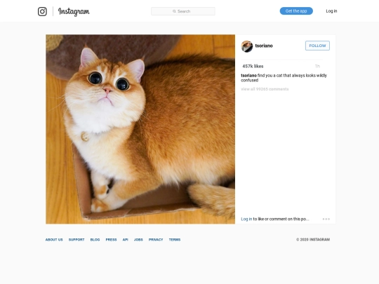ig/038 screenshot