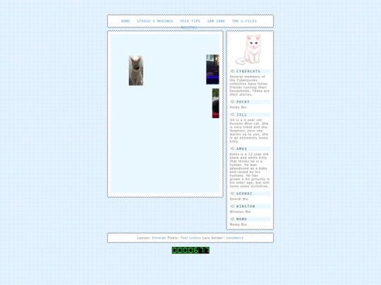 cats screenshot