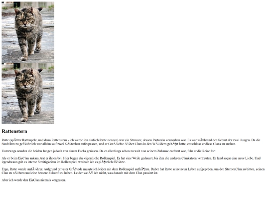 de/hobbies/digital/roleplay/Ratte screenshot