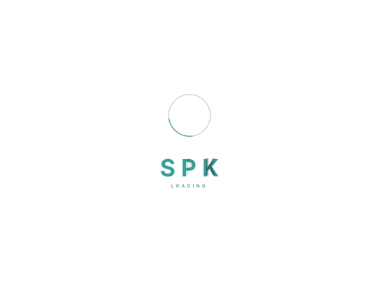 spksolutions/team screenshot