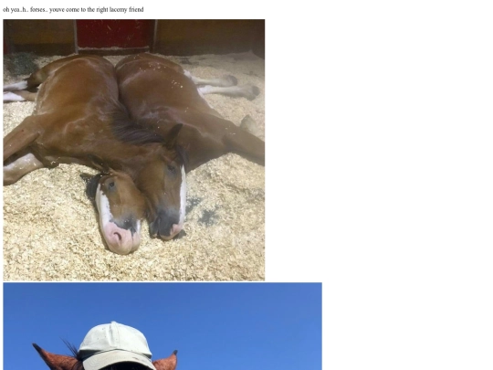 crystalball_horse screenshot