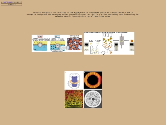 20260212 screenshot