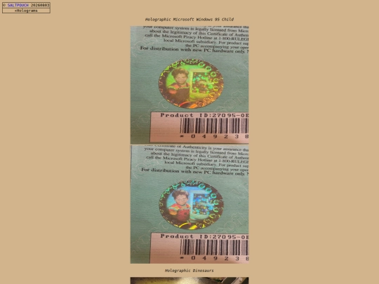 holograms screenshot