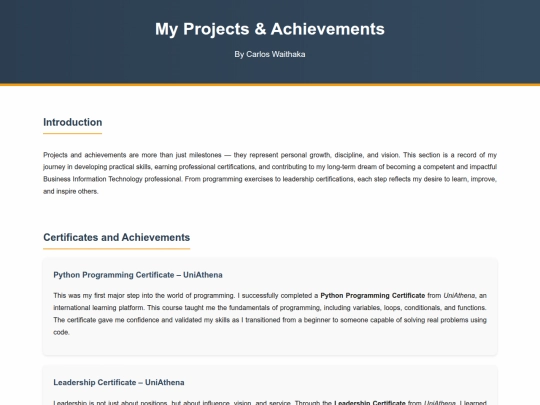 projects screenshot