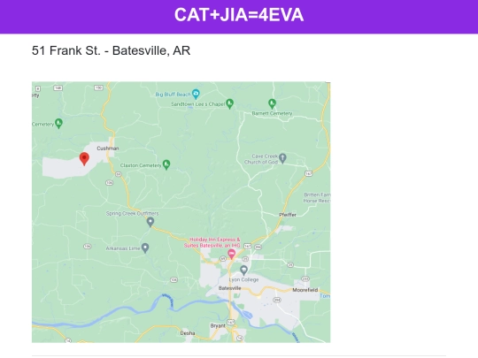 cat-ar screenshot