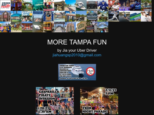 tampajiaall screenshot