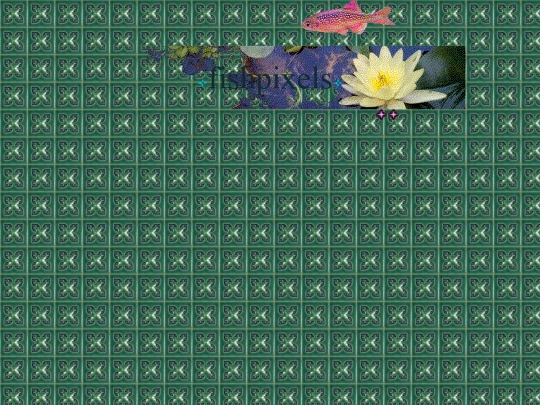 media screenshot