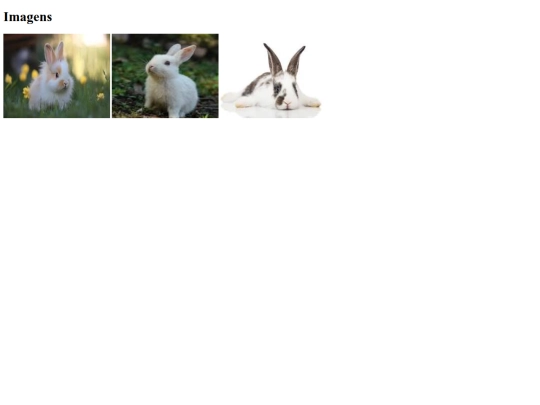 atividade06 screenshot