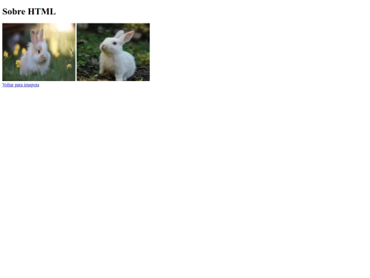 atividade06/paginas/sobre screenshot