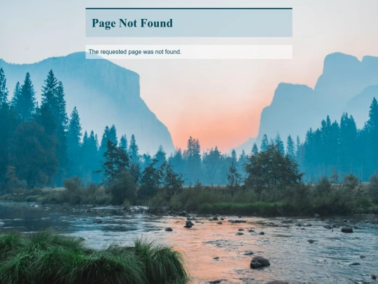 projects screenshot
