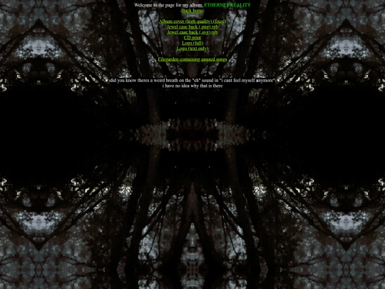 ethernetreality screenshot