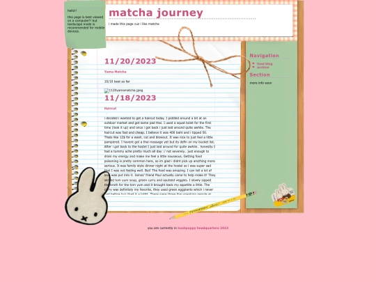 matchablog screenshot