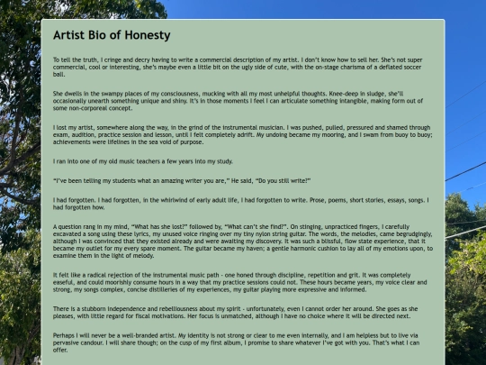 honest_bio screenshot