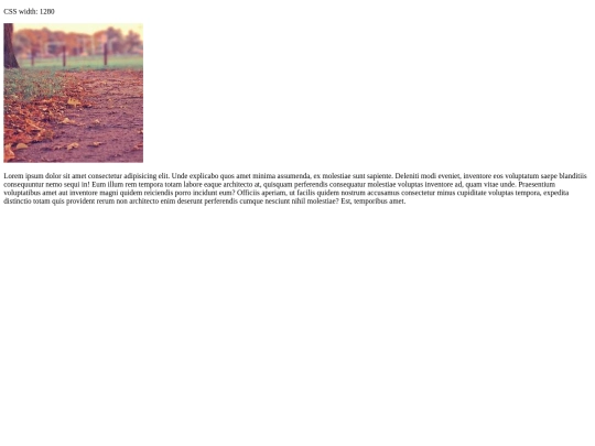 DIW/prueba-con-viewport screenshot
