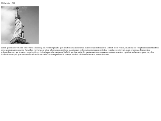 DIW/prueba-sin-viewport screenshot
