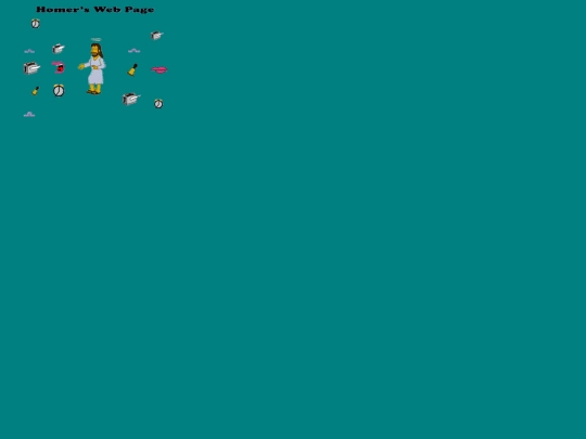 homer screenshot
