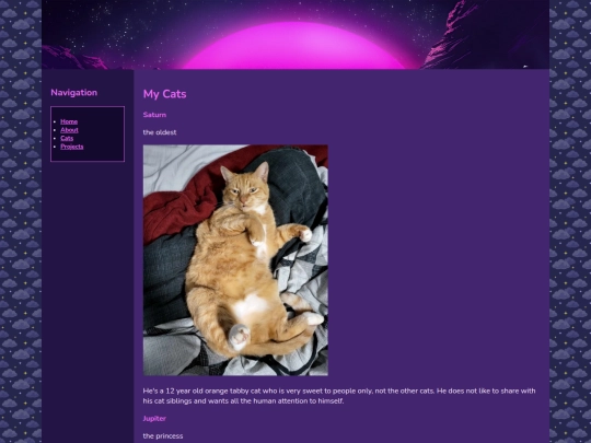 cats screenshot