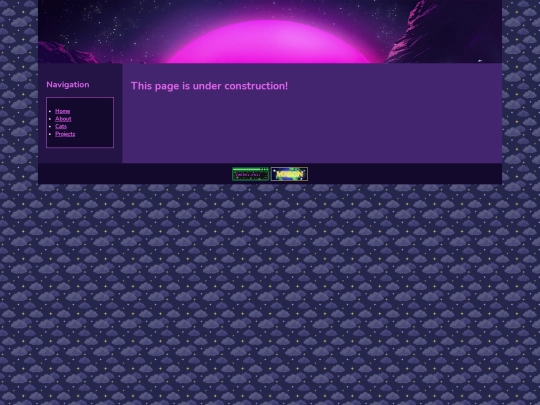 projects screenshot