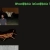 locustphobia.neocities.org avatar