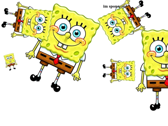 sponge screenshot