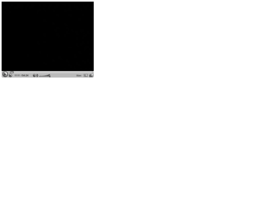 player screenshot