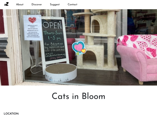 cats screenshot