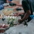 volunteerhere.neocities.org avatar
