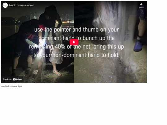 portfolio/video/castnet screenshot