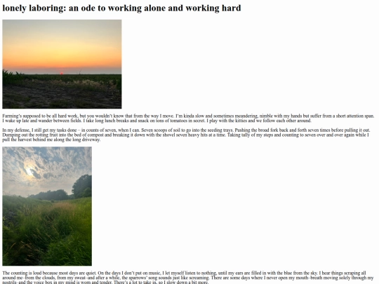 portfolio/writing/lonelylaboring screenshot