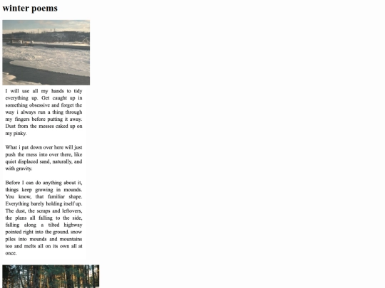 portfolio/writing/winterpoems screenshot