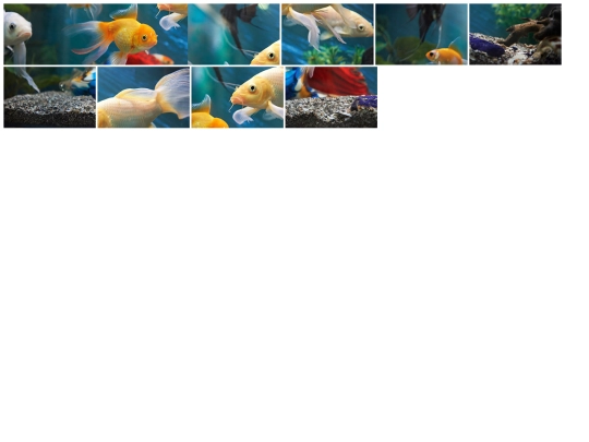 puzzle screenshot