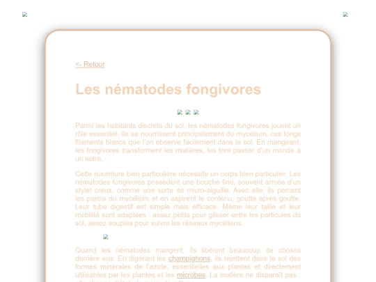 fongivores screenshot