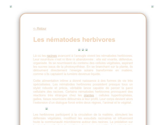 herbivores screenshot