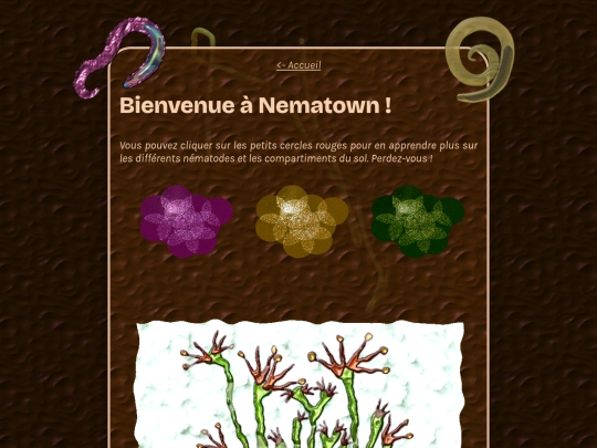 nematown screenshot