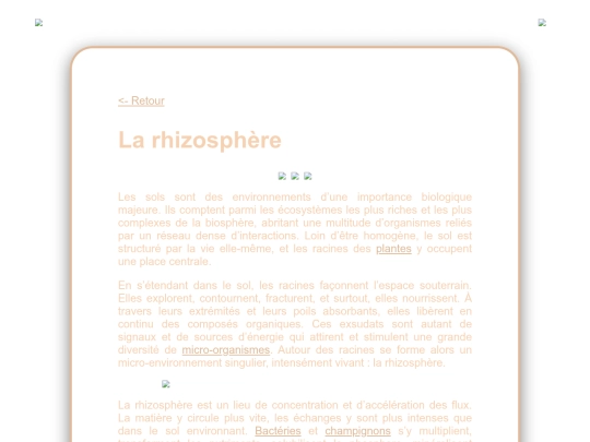 rhizosphere screenshot