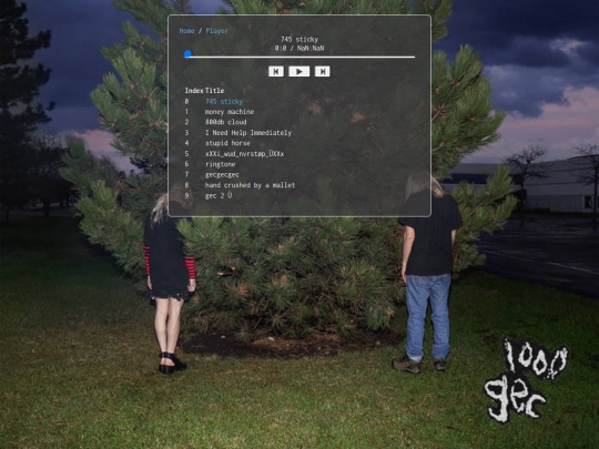 player screenshot