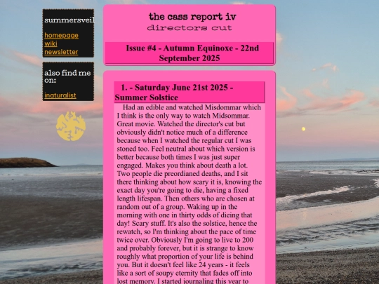 newsletter/4directors screenshot
