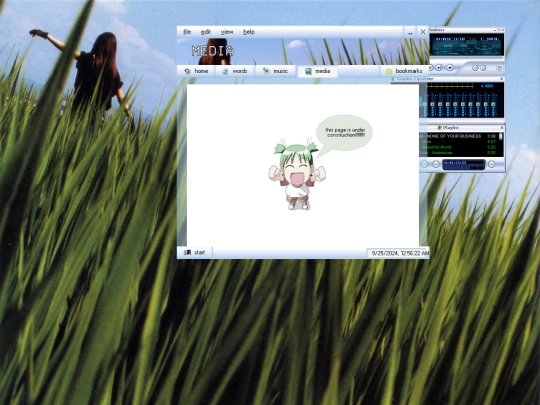 media/media screenshot