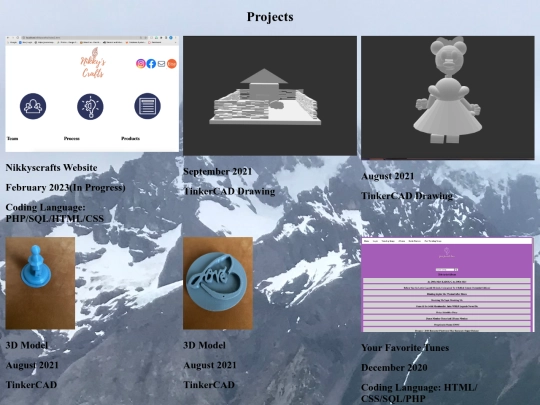 Projects screenshot
