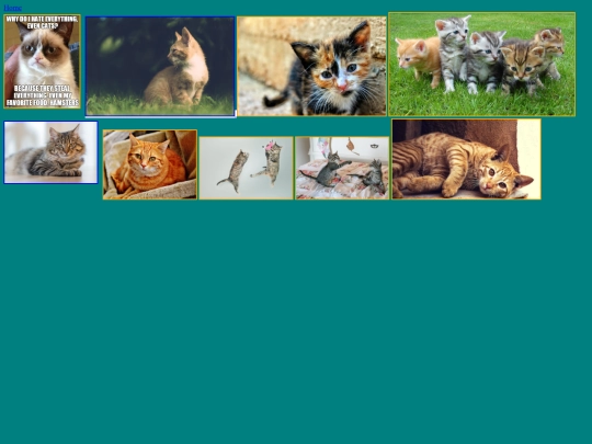 photos screenshot