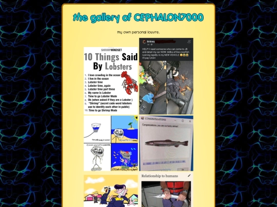images screenshot