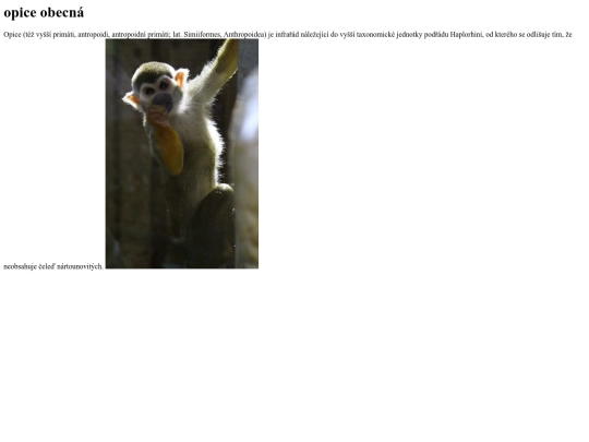 opice obecna screenshot