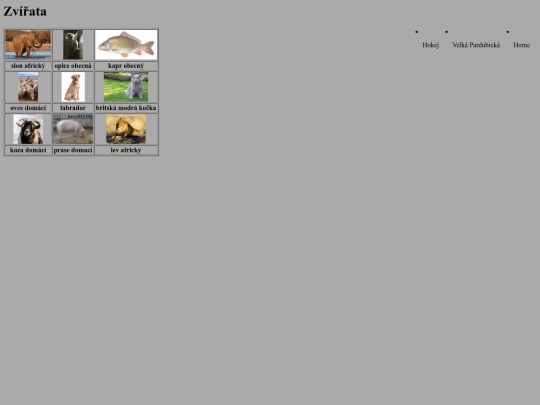 pets screenshot